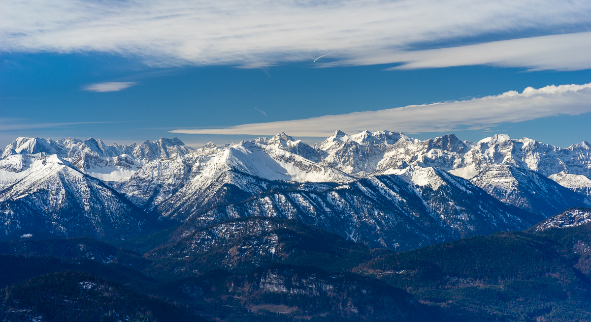 _DSC9113.jpg