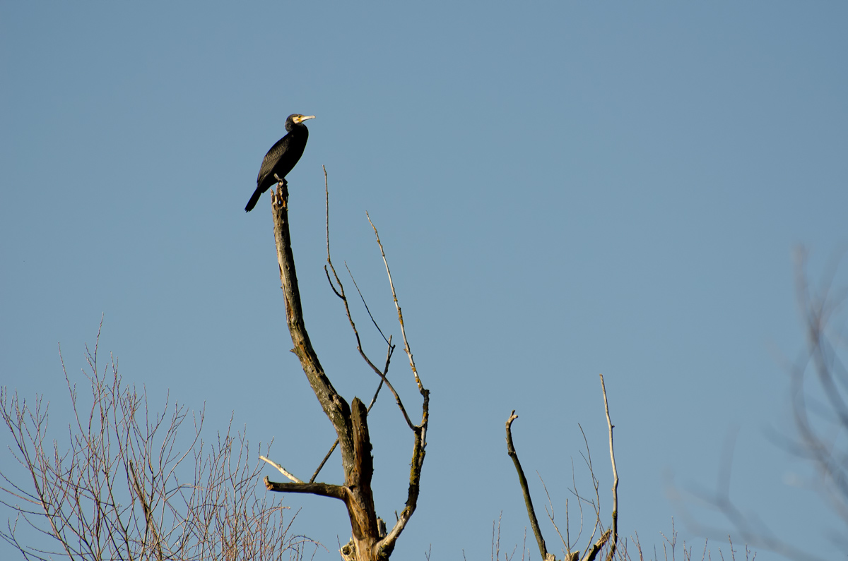 _DSC9364-Bearbeitet.jpg