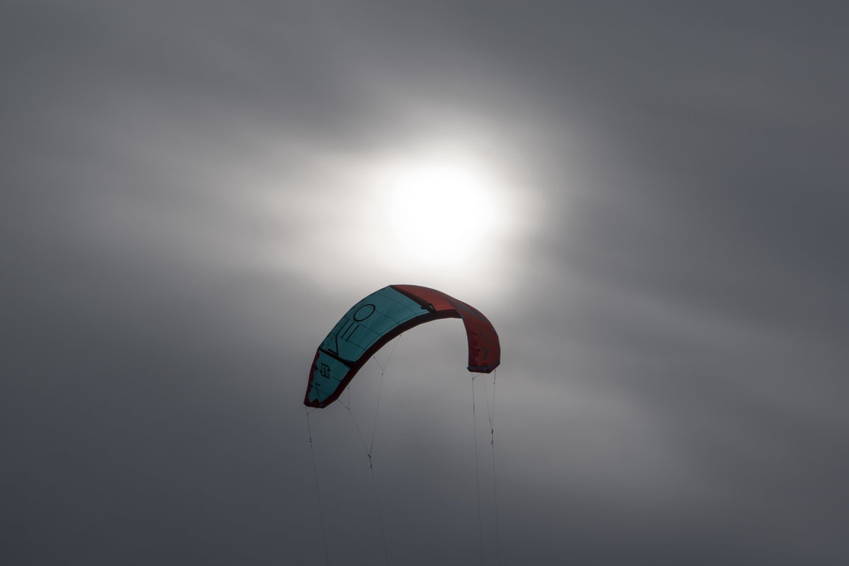_DSC9456.jpg