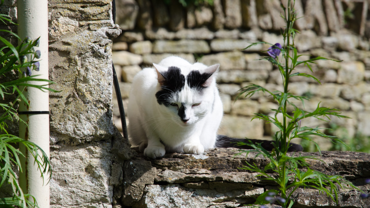 _DSC9838.jpg