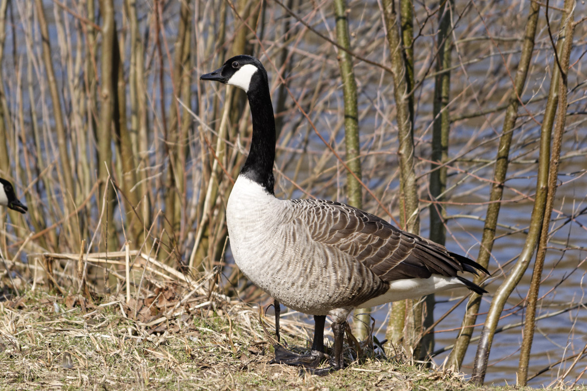 _DSC9838NF.jpg
