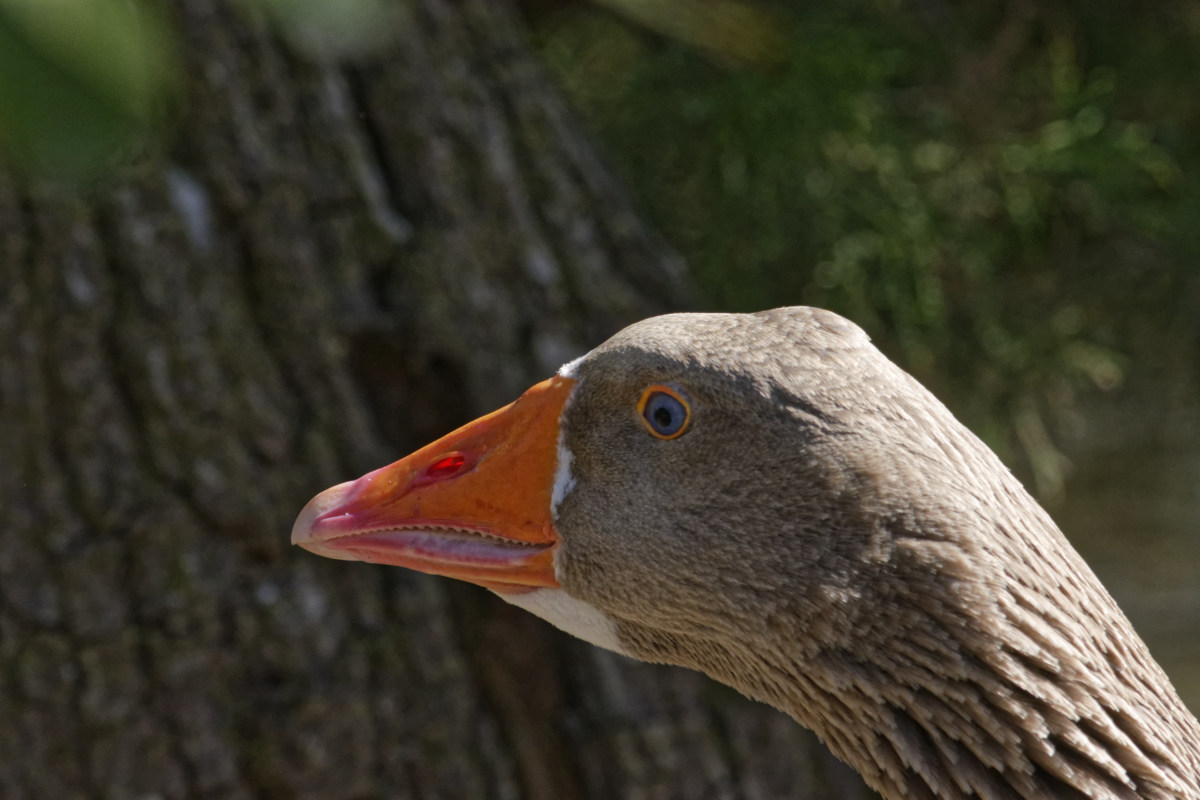 _DSC9876NF.jpg