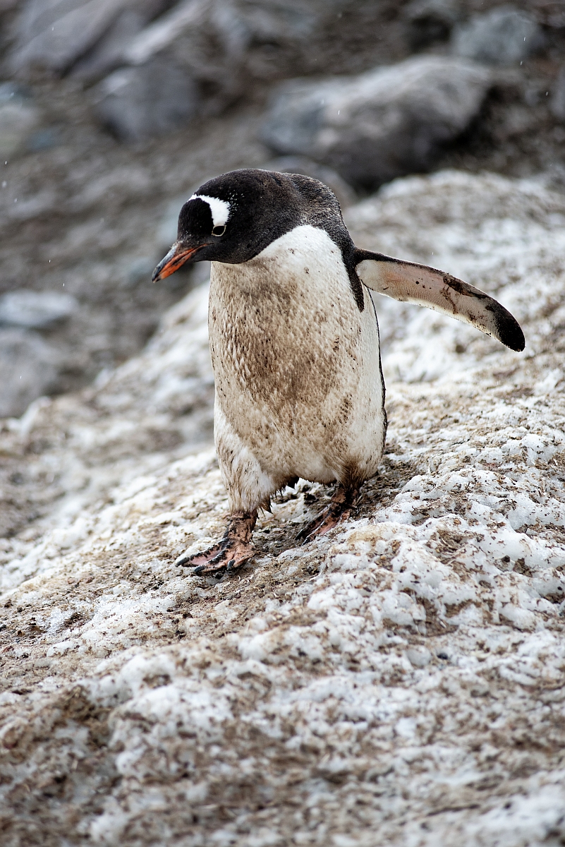 _DSC9935.jpg