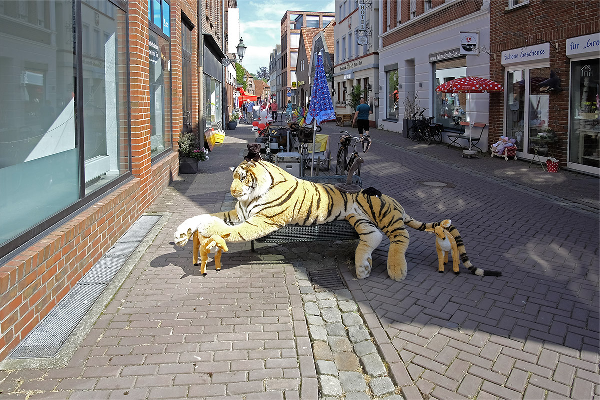 _DSF3251Kxl.jpg
