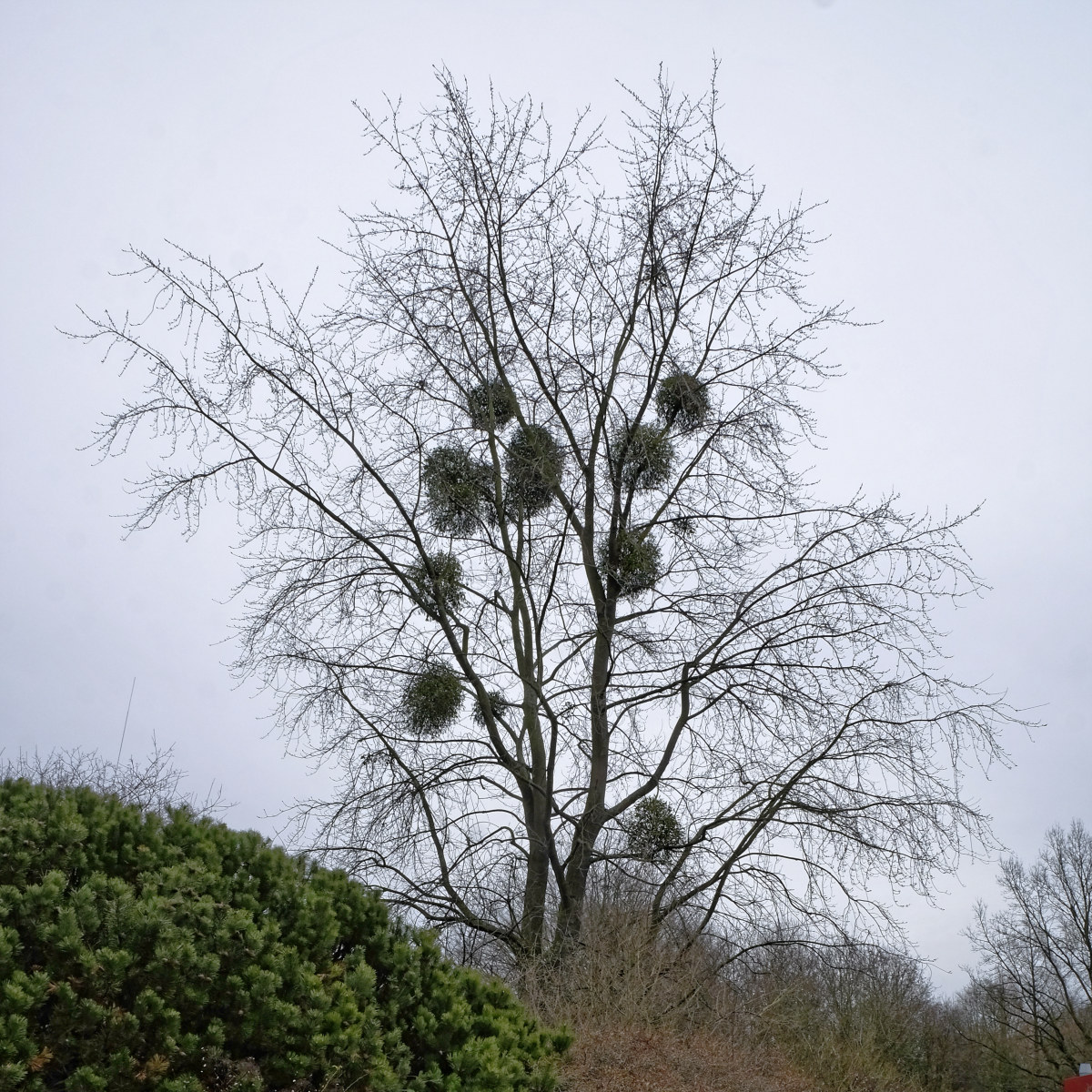 _DSF3885_DxOQxl.jpg