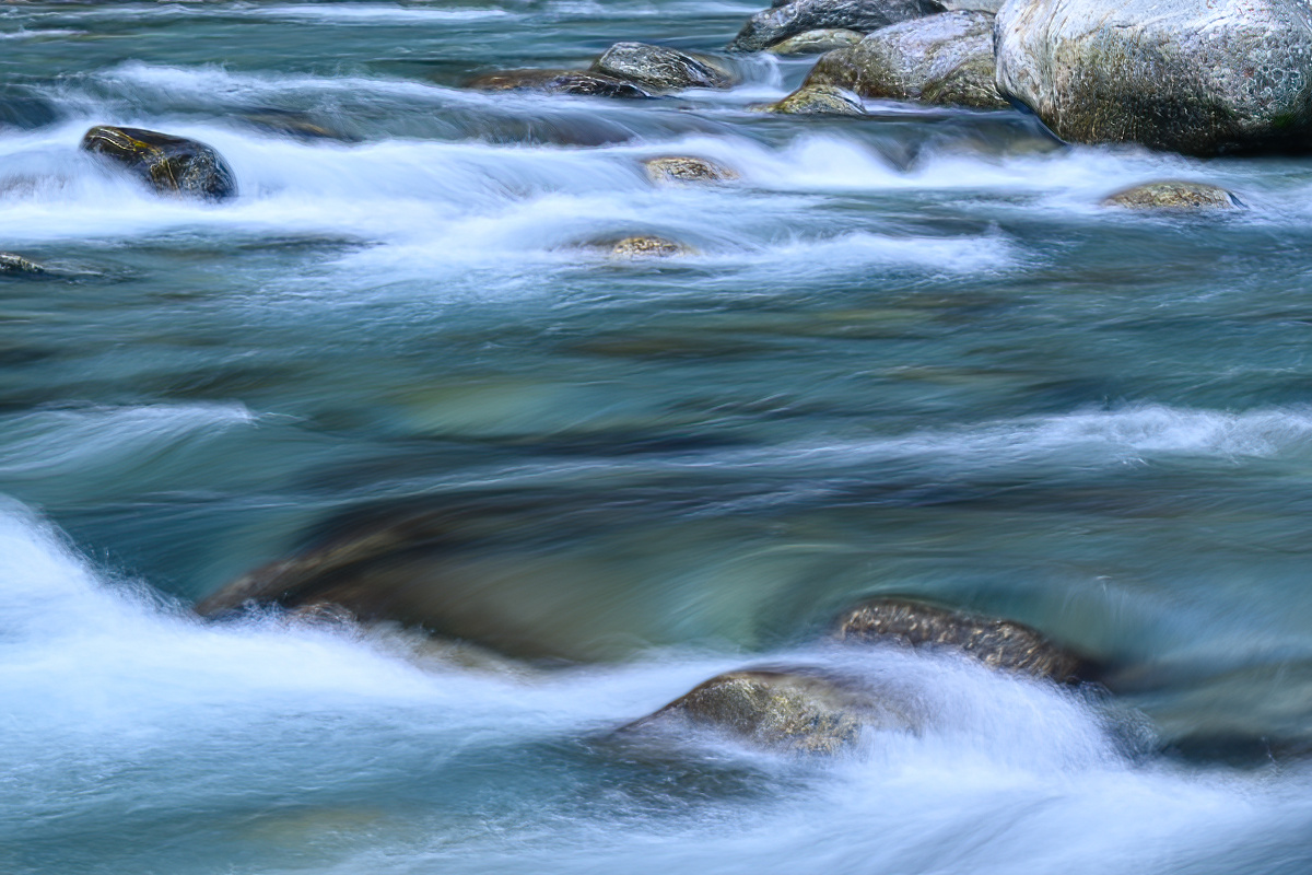 _DZ81050-2-DeNoiseAI.jpg