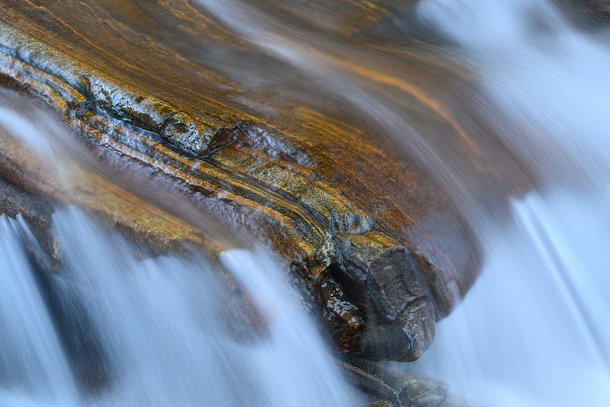_DZ81091-1-DeNoiseAI.jpg