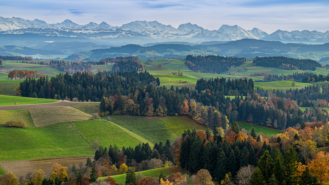 _DZ89301 (1).jpg