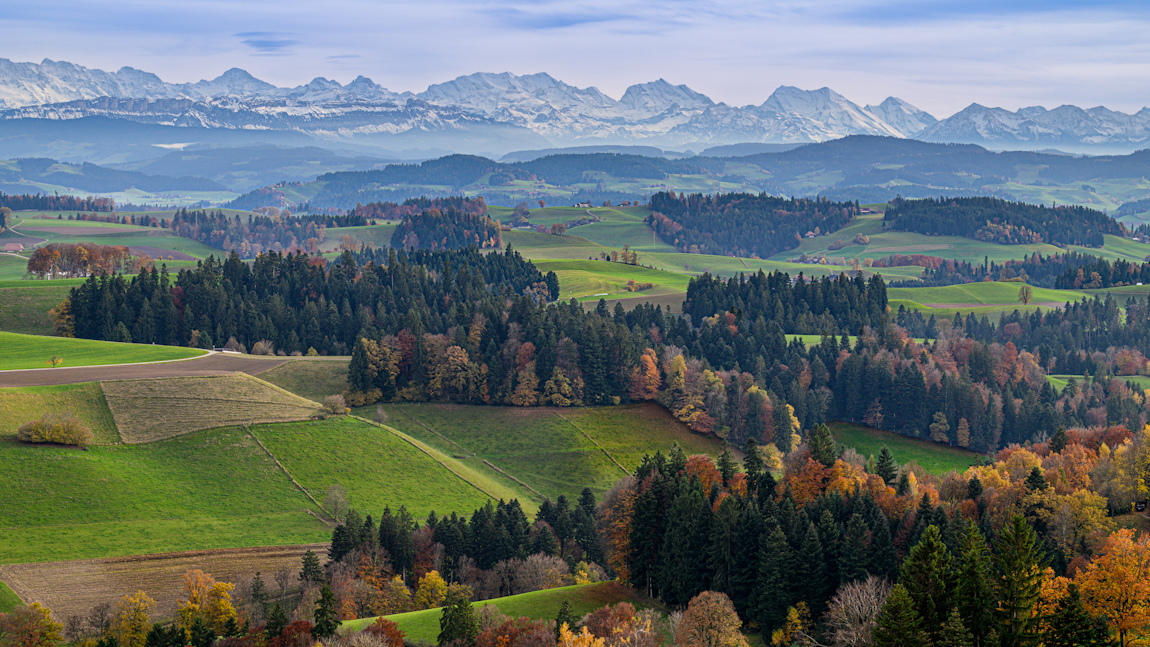 _DZ89301 (4).jpg