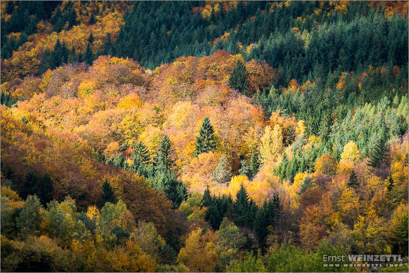 _EW13840-00