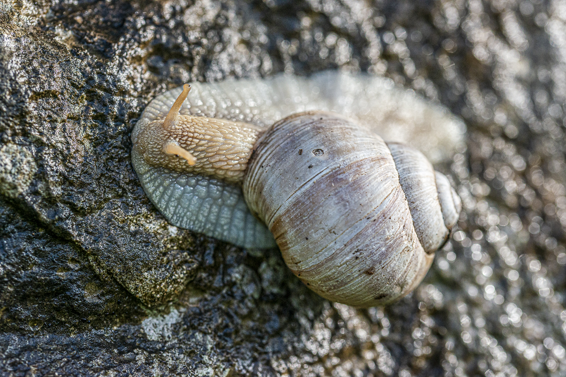 _HAR5403.jpg