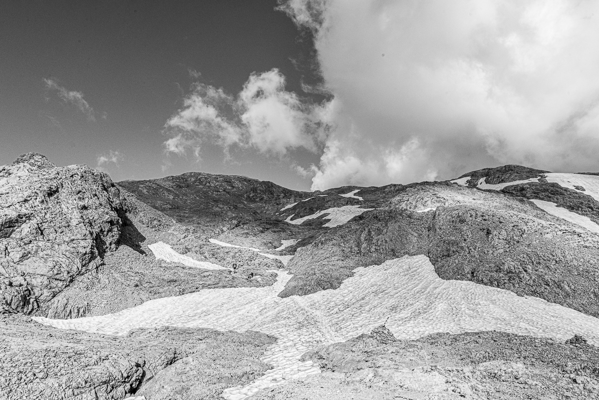 _HAR6373-2.jpg