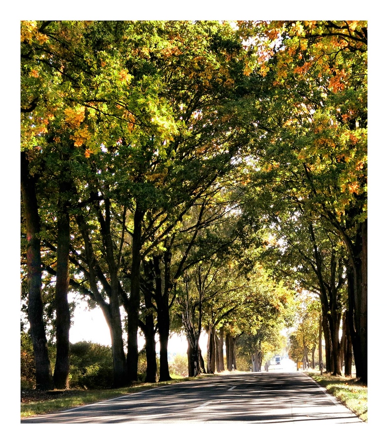 _Ich liebe unsere Landstraßen.jpg