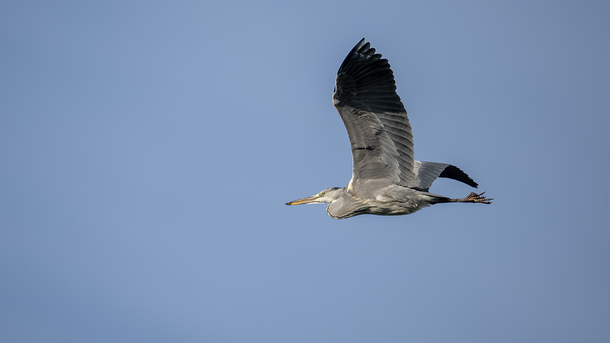 _RGZ0199-Koks-Loch-1200.jpg