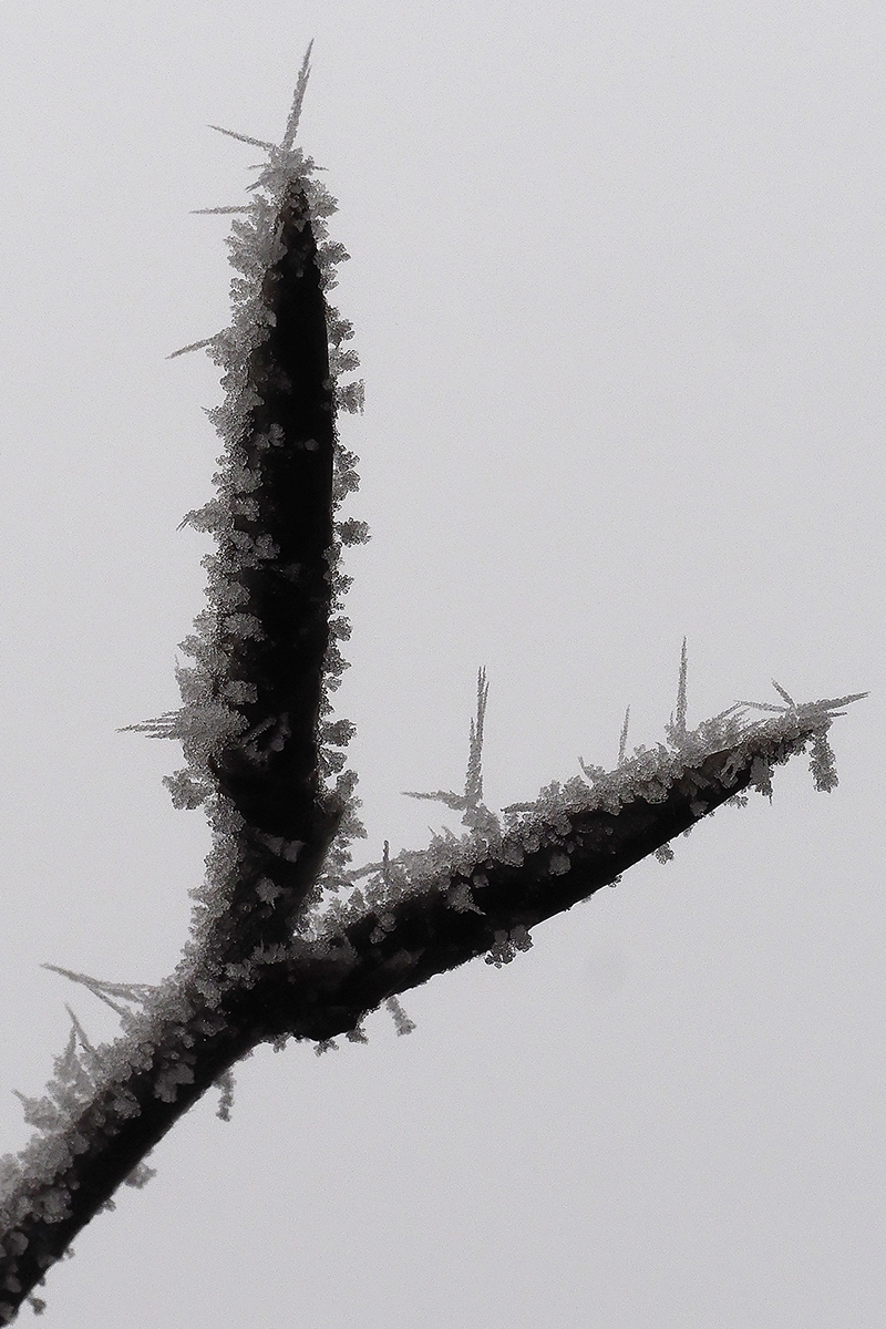 _TL20258_DXO_SWAxl.jpg