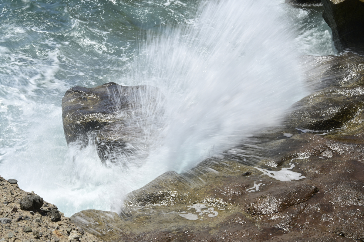 _U022085-1200x800.jpeg