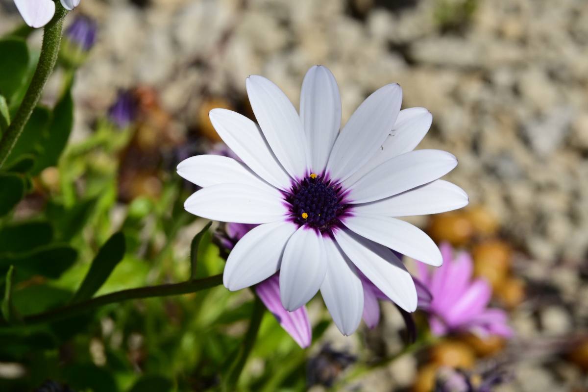 _U023097-1200x800.jpeg