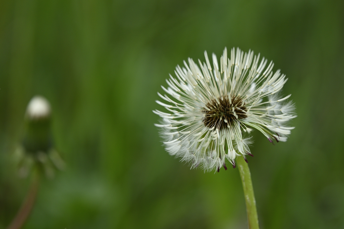 _WK8668_00001.jpg