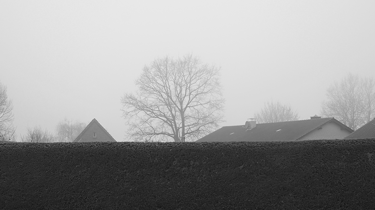 _Z503952PAxlSW.jpg