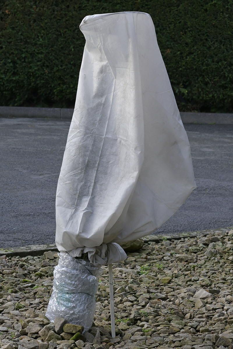 _Z504202Hxl.jpg