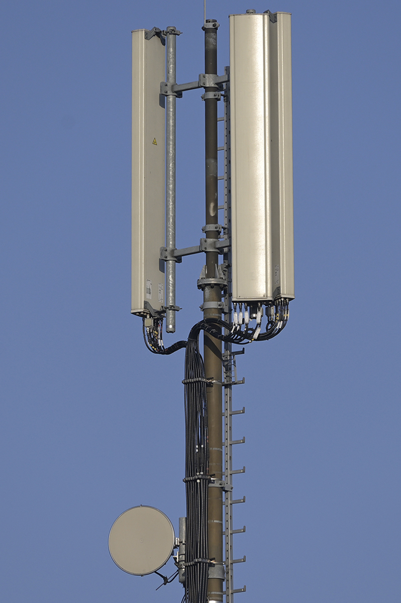 _Z504212SDAxl.jpg