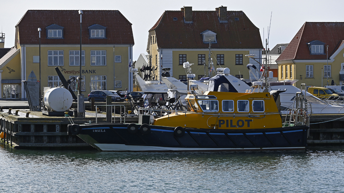 _Z505292KPxl.jpg