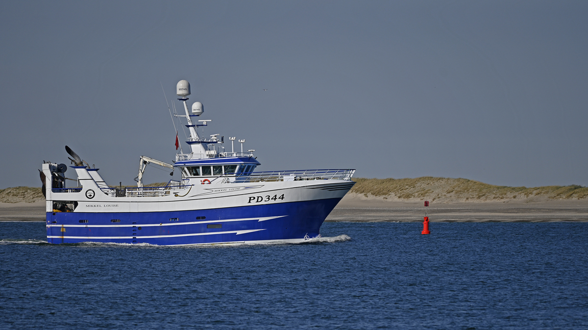 _Z505346KPxl.jpg