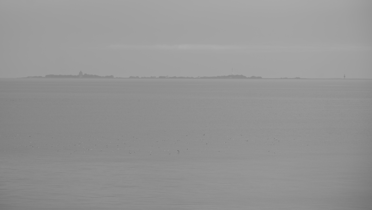 _Z507335_DxOPAxl.jpg