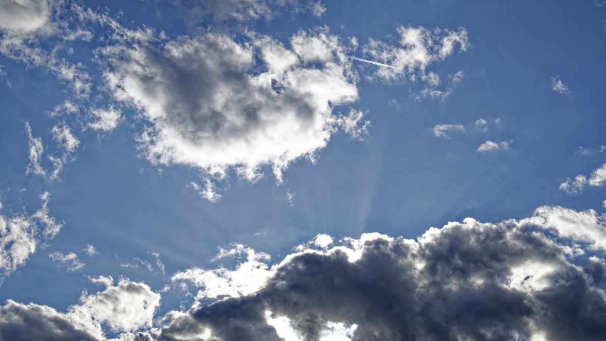 _Z509043_DxOP_xl.jpg