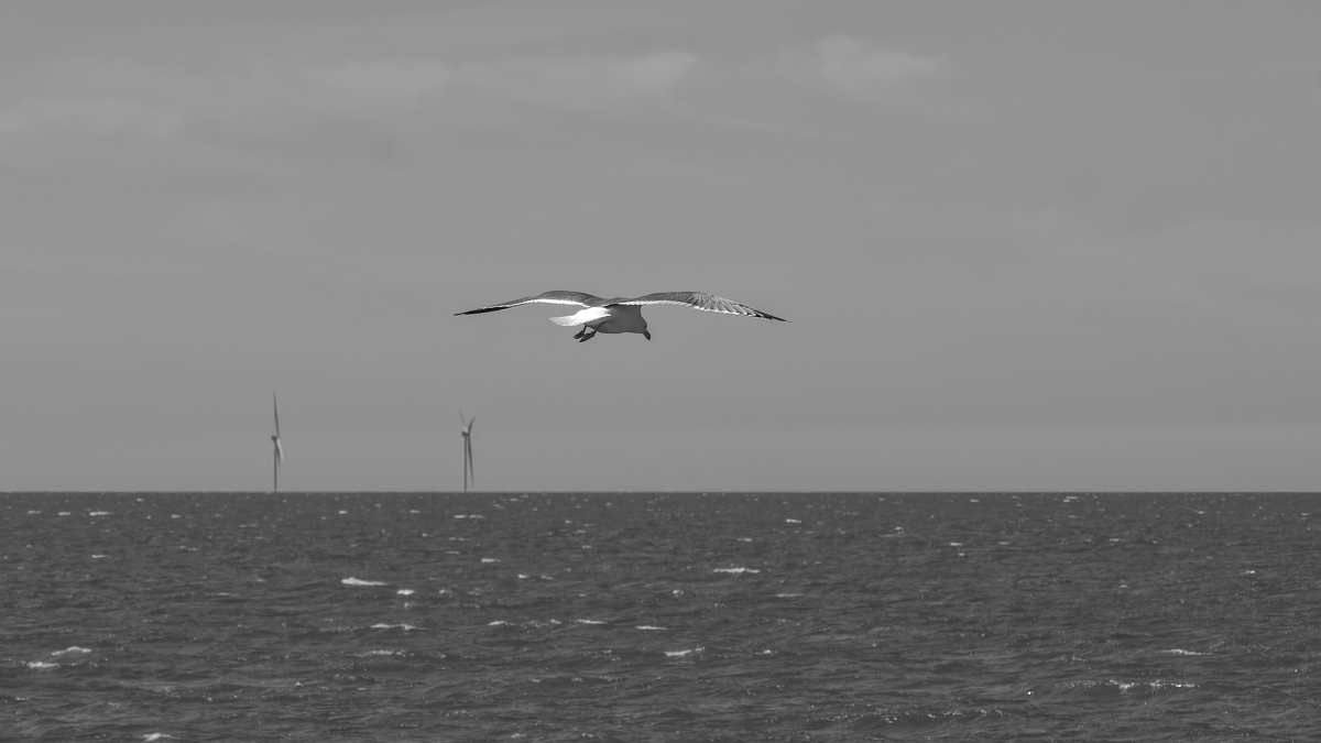 _Z509115_DxOPAxl.jpg