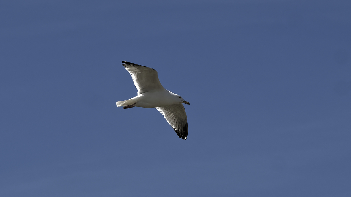 _Z509118_DxOPAxl.jpg