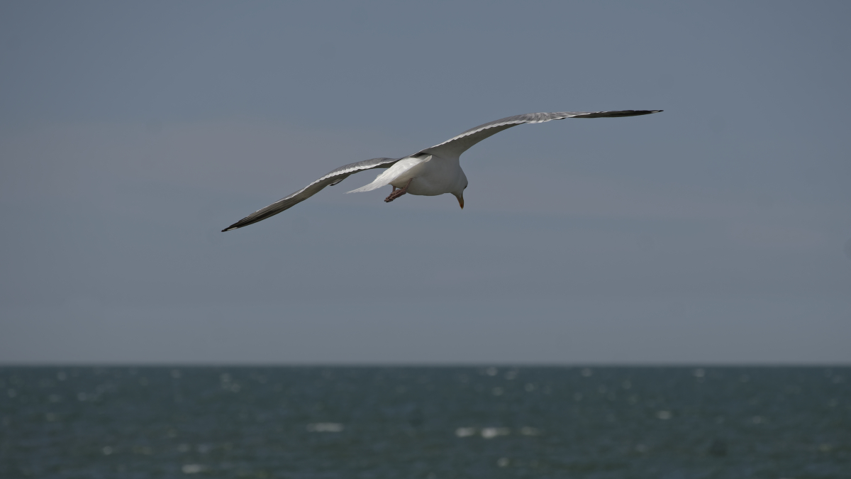 _Z509130_DxOPAxl.jpg