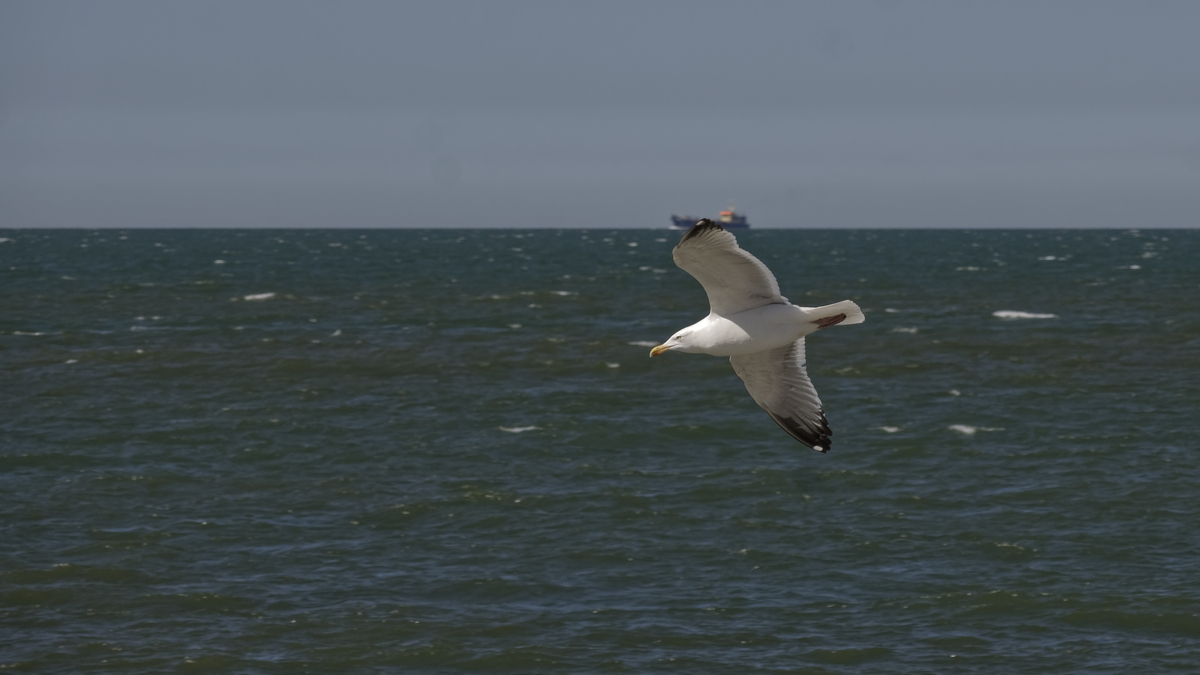 _Z509140_DxOPAxl.jpg