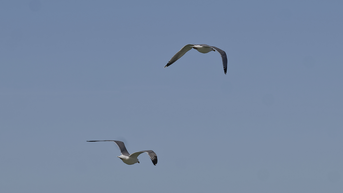 _Z509151_DxOPAxl.jpg