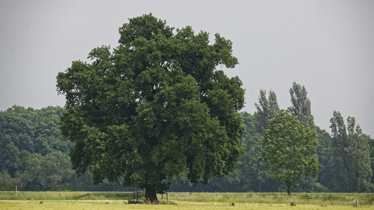 _Z509542_DxOPAxl.jpg