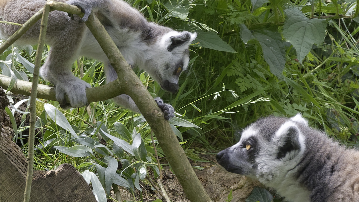 full