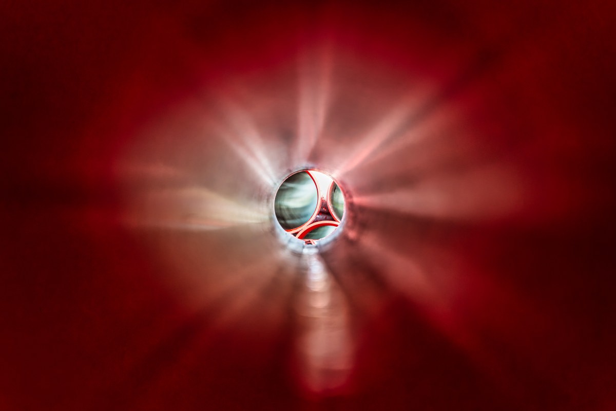 _Z7F3731-007_nxstu.JPG