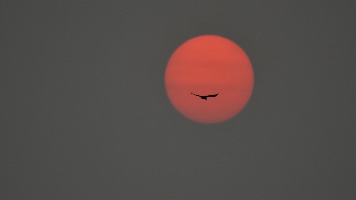 #a.jpg500 6168

Sonnenaufgang in  der Sahara-Sandwolke