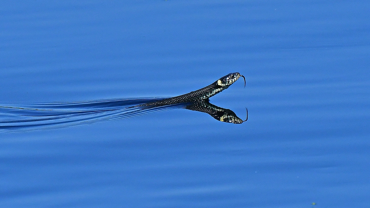 #a.jpg501 2651