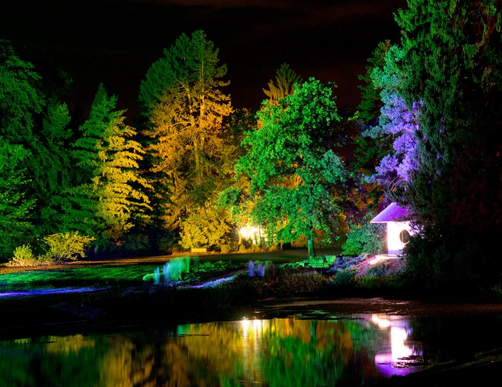 a pn yt lightart premiere 6151