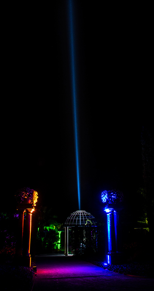 a pn yt lightart premiere 6183