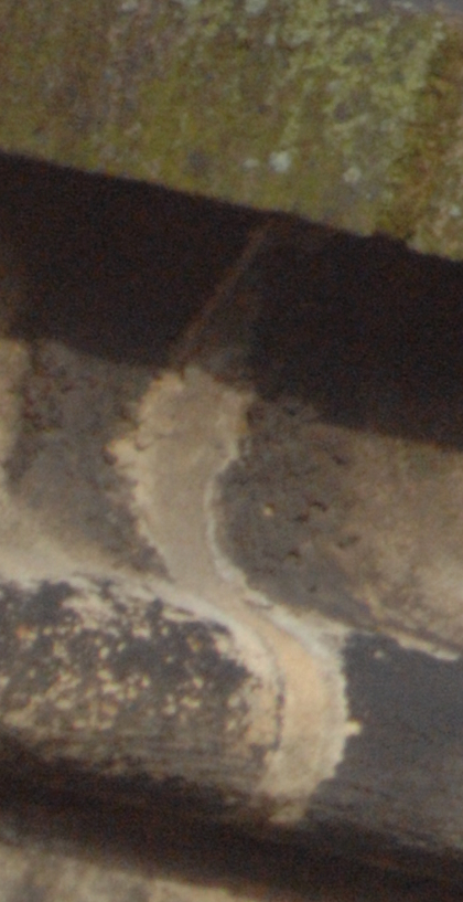 a turm nik crop2