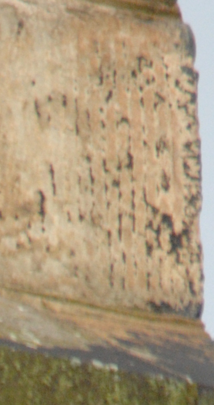 a turm tam crop1