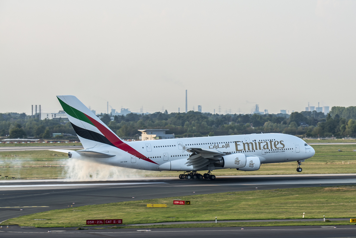 A3801.jpg