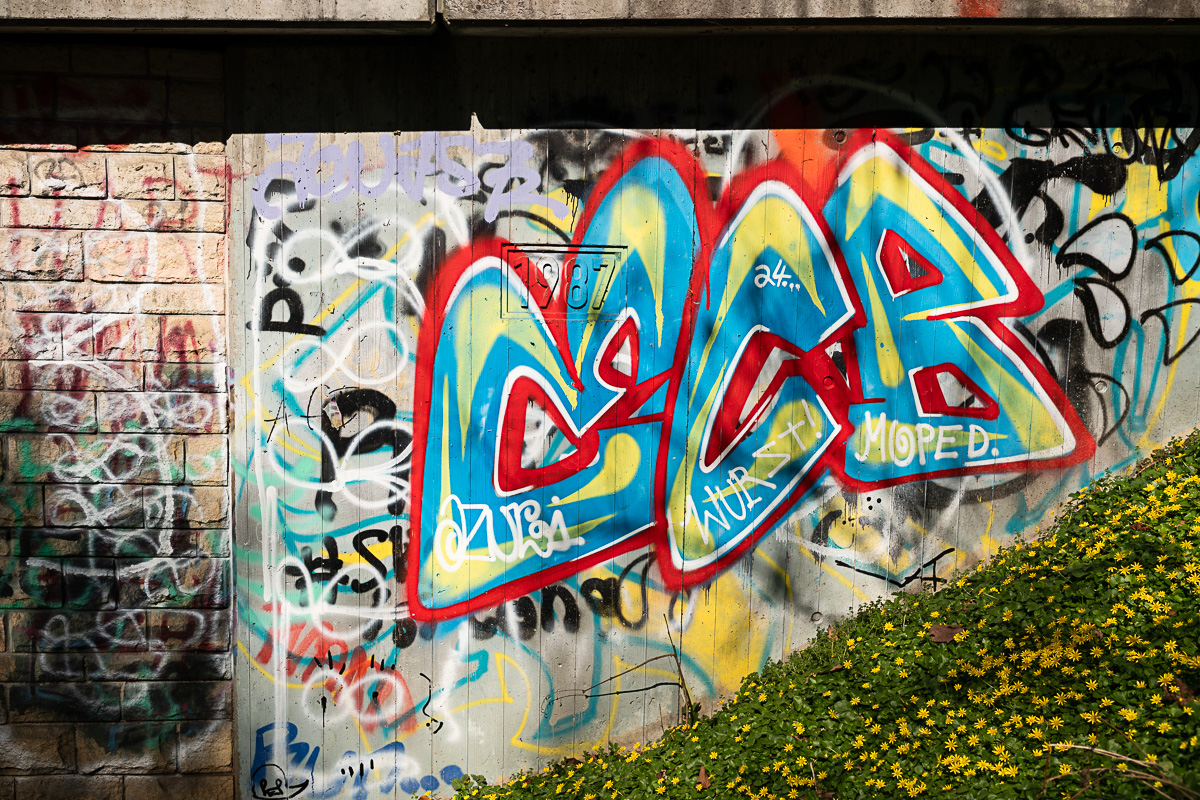 A7R03148.jpg