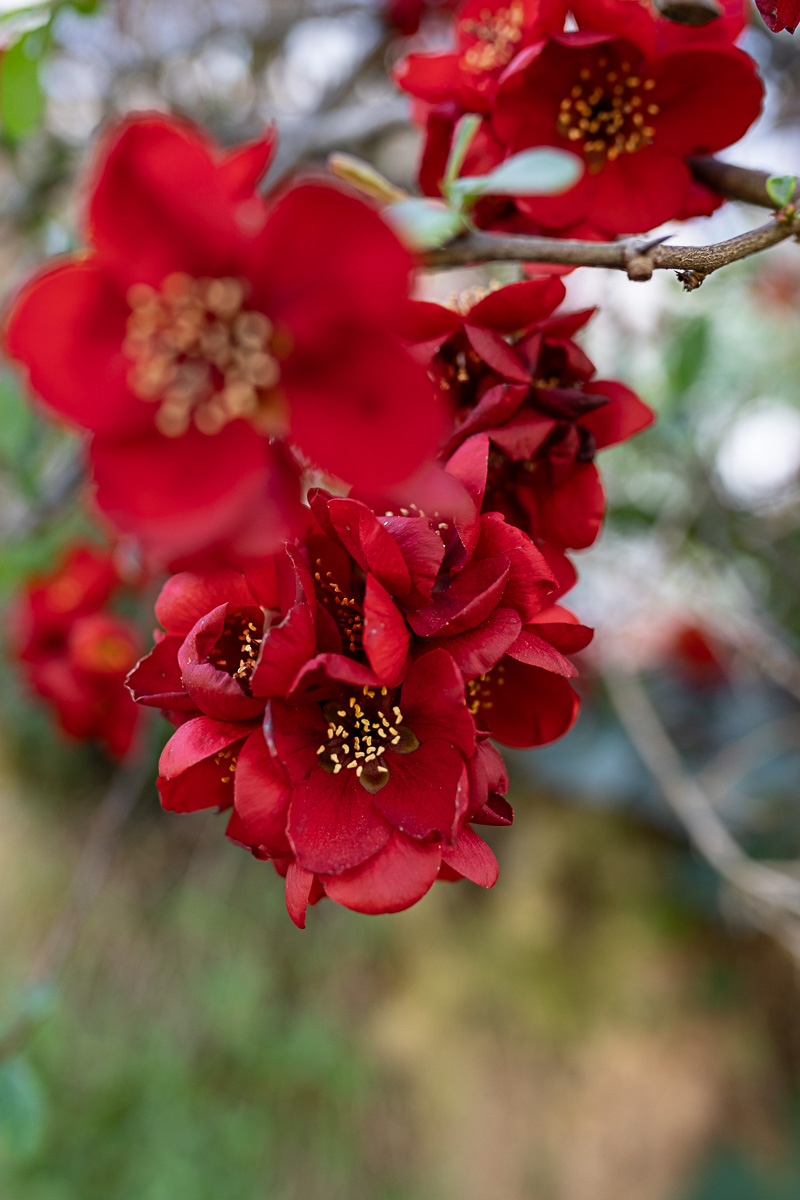 A7R03175.jpg
