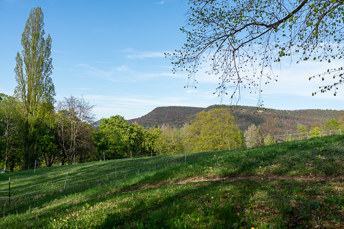 A7R03221.jpg