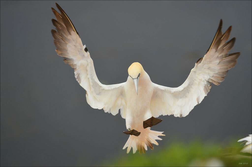 aaacomp Helgoland 20120629 0039