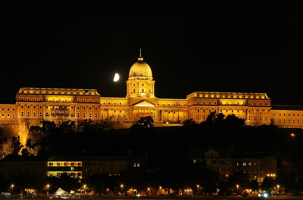 aacomp 2011  (10)