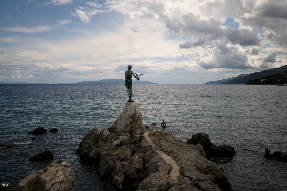 aacomp 2011  (5)